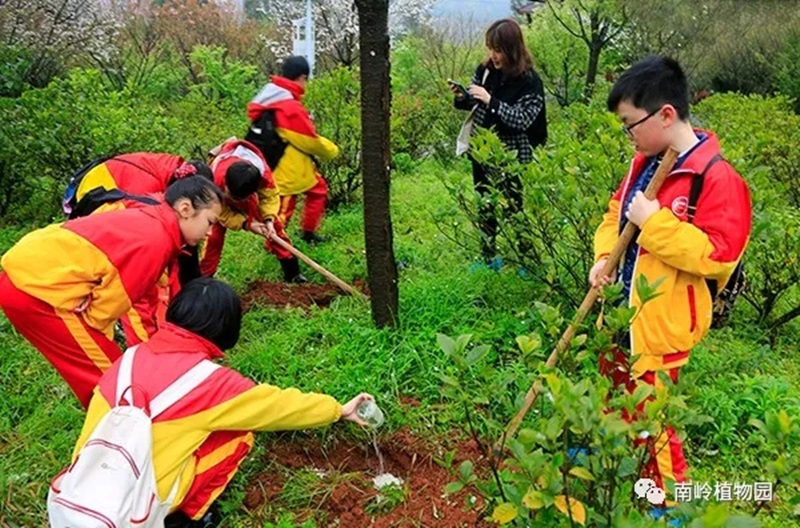 在植樹節來臨之際，郴州市第五完小組織五年級學生走進南嶺植物園開展“關愛自然、護綠我先行”社會實踐活動。給樹木施肥