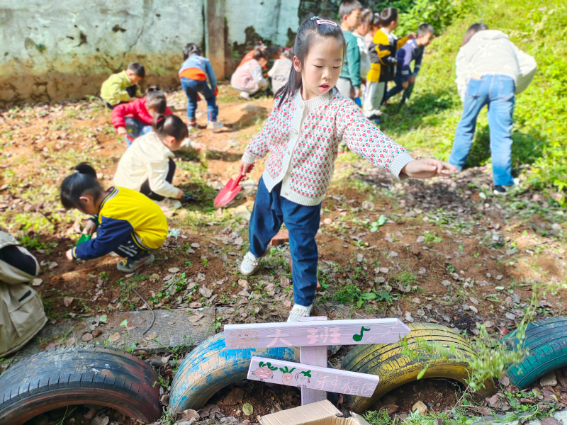 蘇仙區第二十五幼兒園師生風采
